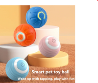SmartyPaw: USB-Charged Jumping & Rolling Play Ball