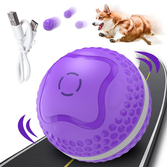 Smart Interactive Motion Ball for Dogs